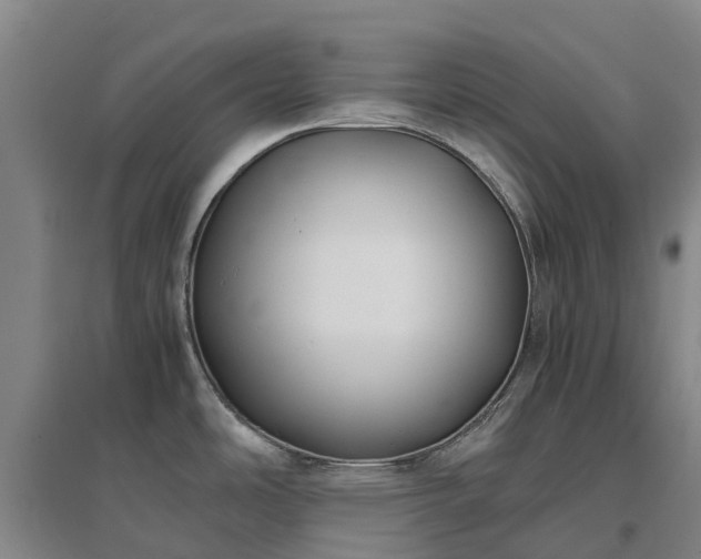 X0000097001486200802151403