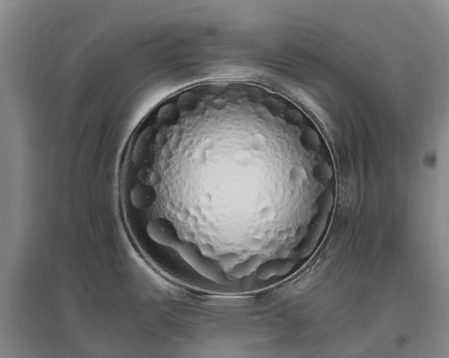 X0000097001487200802151403