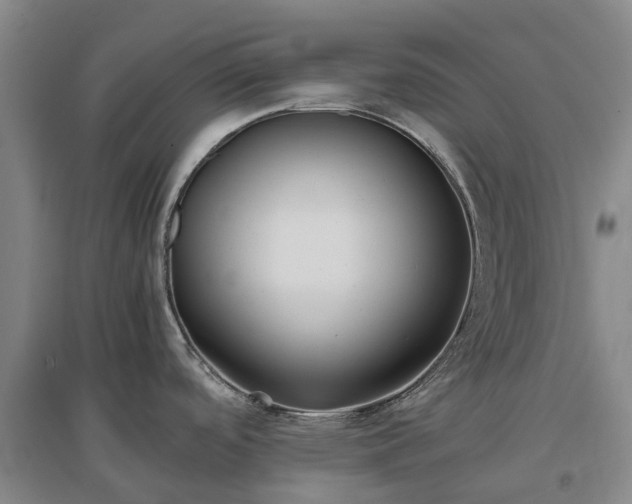 X0000097001488200802151403