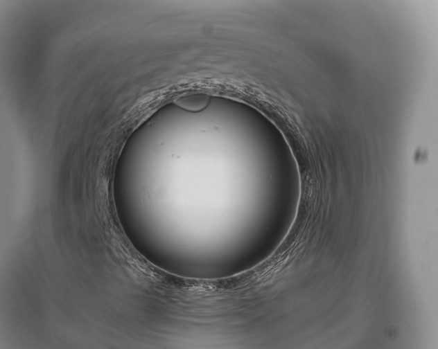X0000097001489200802151402