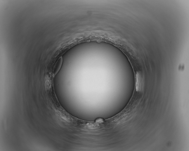 X0000097001491200802151402