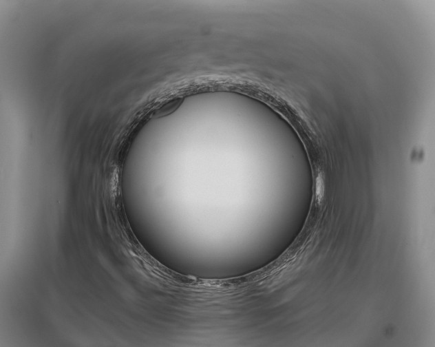 X0000097001492200802151402