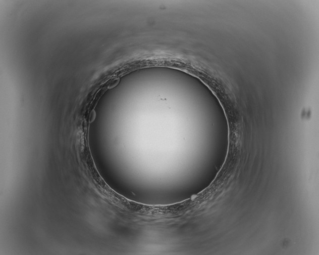 X0000097001493200802151402
