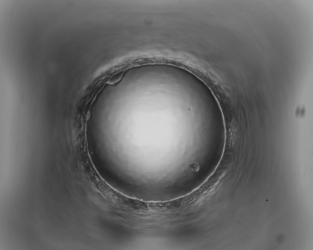 X0000097001494200802151402