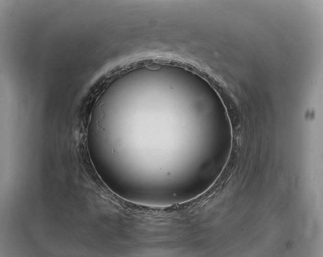 X0000097001495200802151402