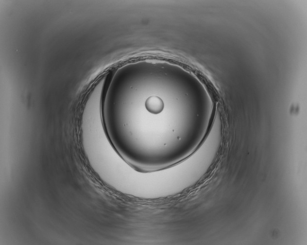 X0000097001496200802151402
