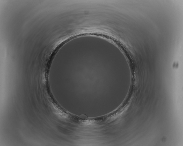 X0000097001497200802151402