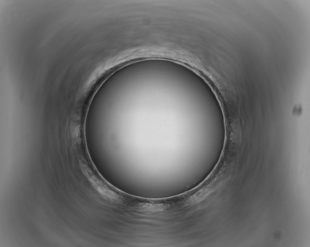 X0000097001499200802151402