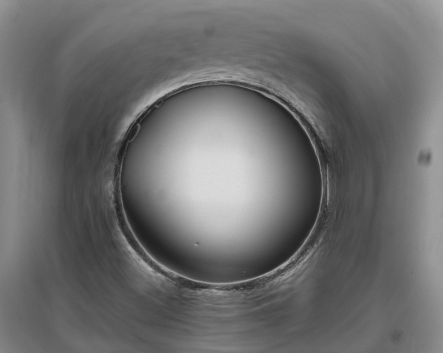 X0000097001500200802151402