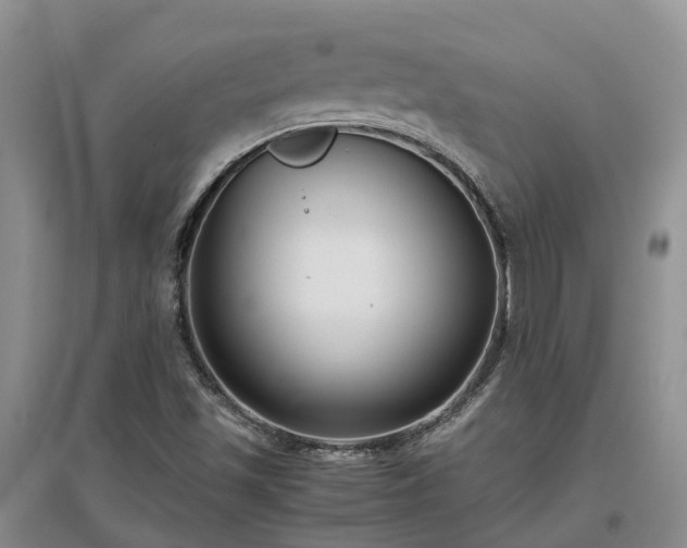 X0000097001501200802151402