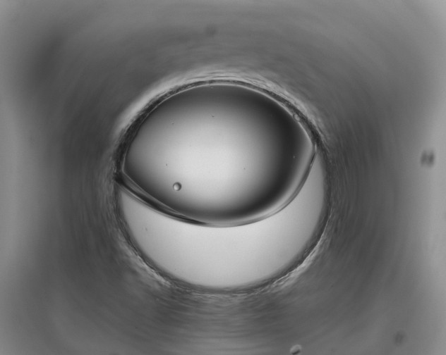 X0000097001502200802151403
