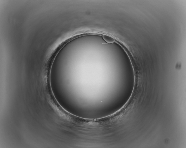 X0000097001503200802151403