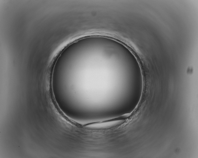 X0000097001504200802151403