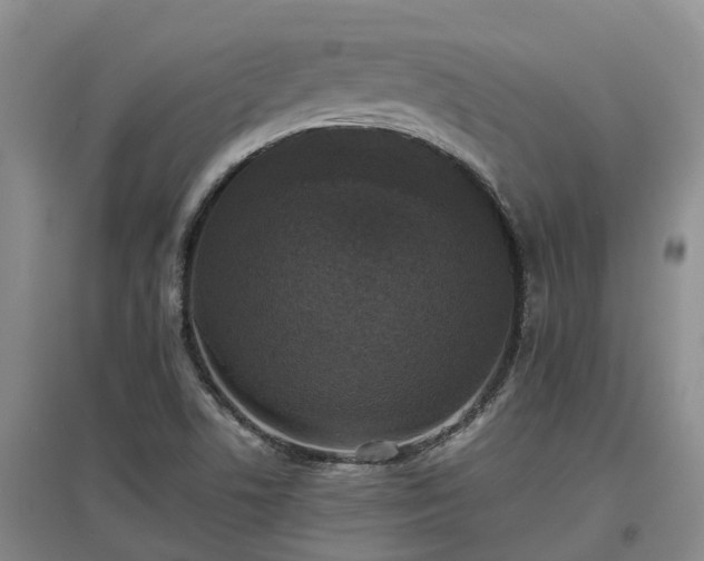 X0000097001506200802151403
