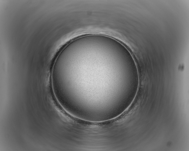 X0000097001507200802151403