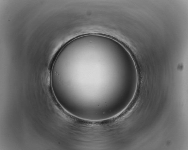 X0000097001509200802151403