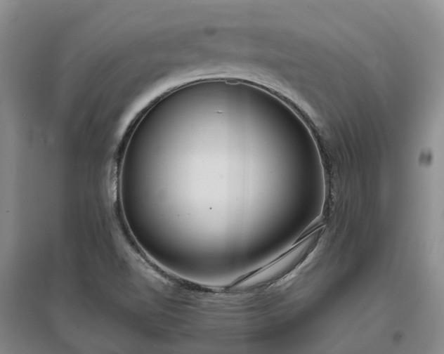 X0000097001510200802151403