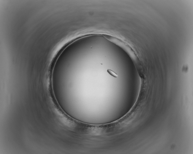 X0000097001511200802151403