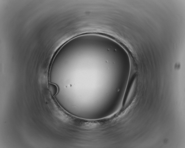 X0000097001513200802151403