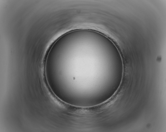 X0000097001517200802151403