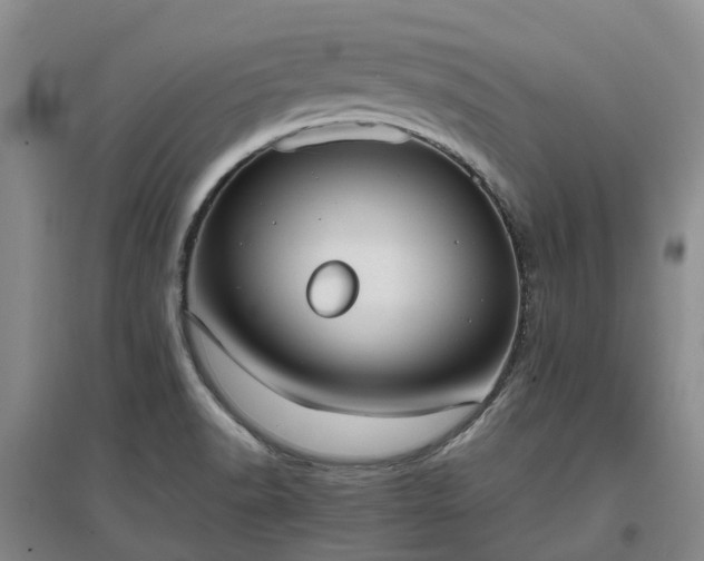 X0000097001518200802151403