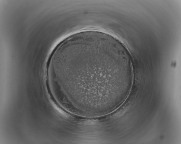 X0000097001519200802151403