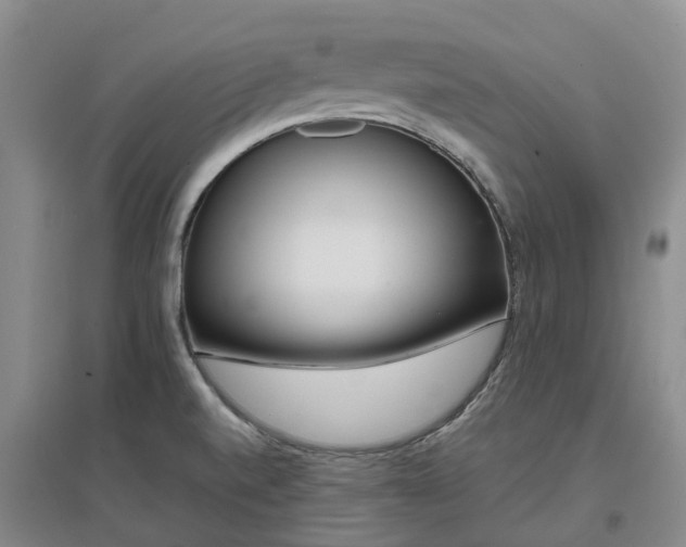 X0000097001520200802151403