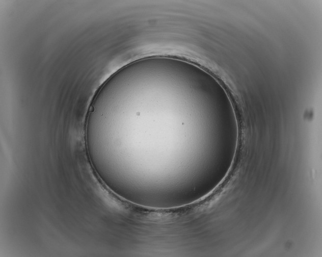 X0000097001521200802151403