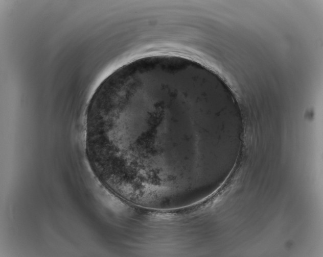 X0000097001522200802151403