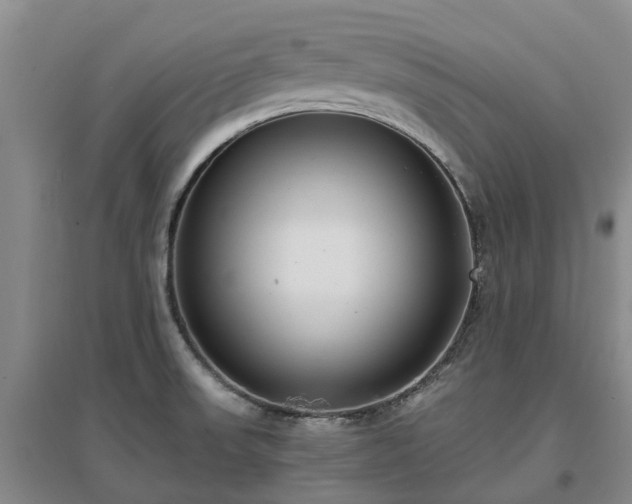 X0000097001523200802151403