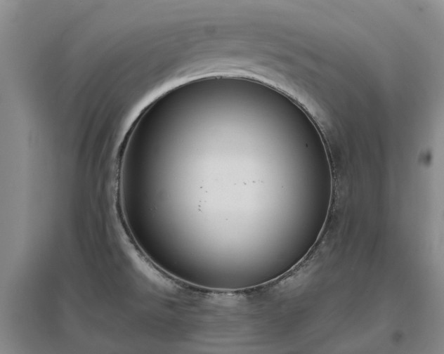 X0000097001526200802151403