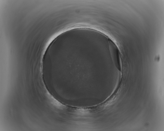 X0000097001527200802151403