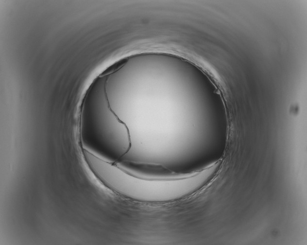 X0000097001528200802151403