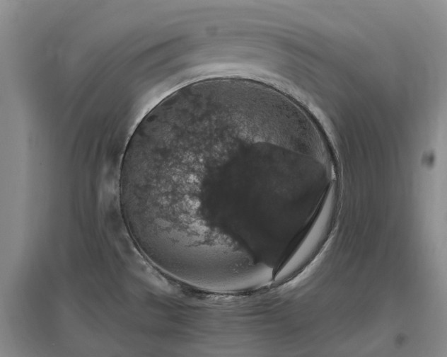 X0000097001529200802151403