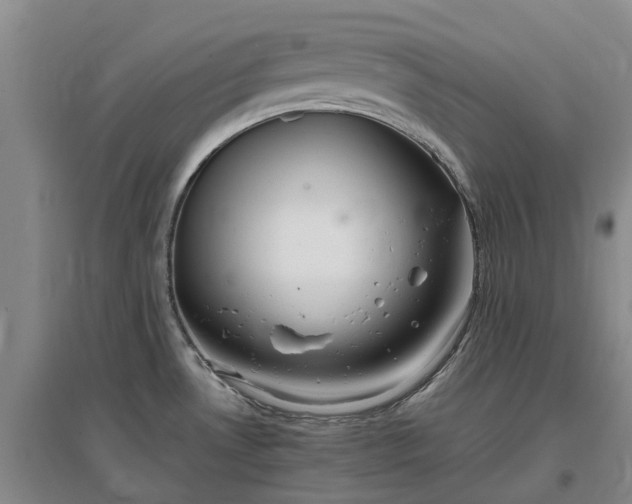 X0000097001530200802151403