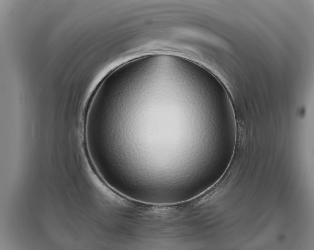 X0000097001531200802151403