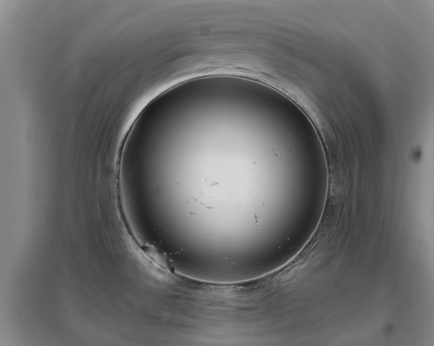 X0000097001532200802151403