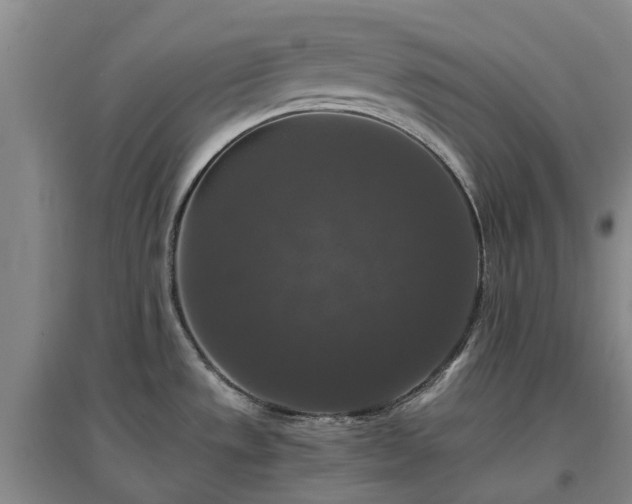 X0000097001533200802151403