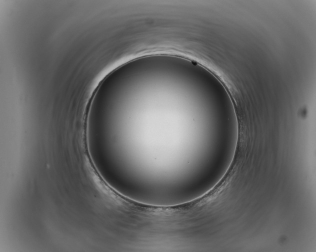 X0000097001534200802151403