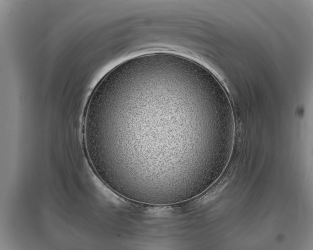 X0000097001535200802151403