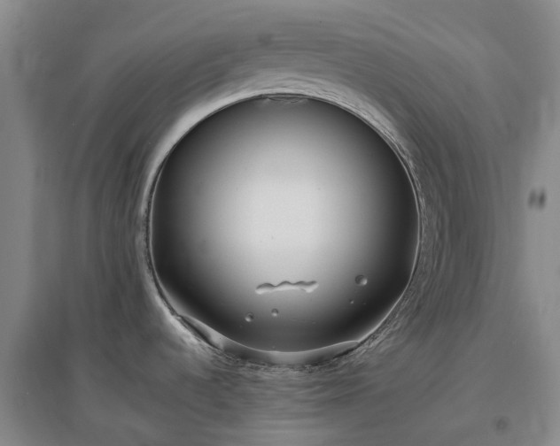 X0000097001536200802151403