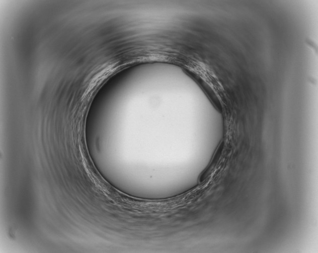 X0000097000001200802221531