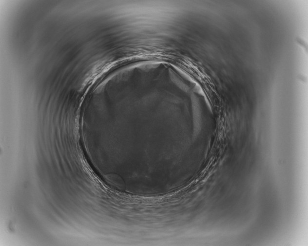 X0000097000002200802221531