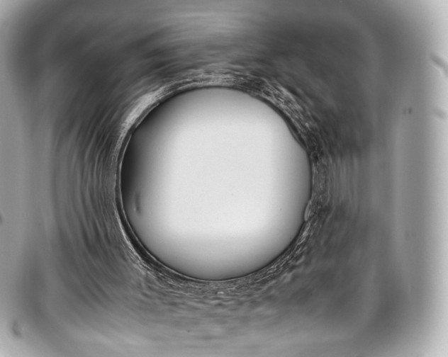 X0000097000003200802221531