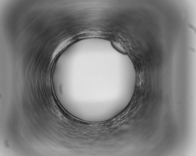 X0000097000004200802221531