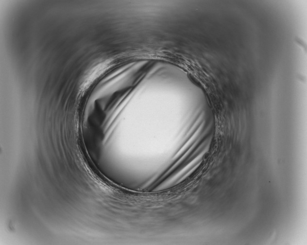 X0000097000005200802221531