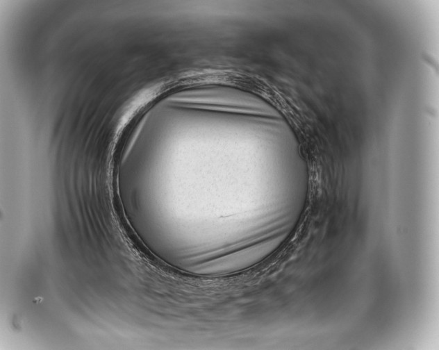 X0000097000006200802221531