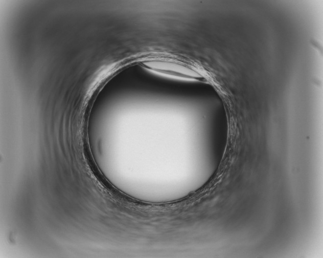 X0000097000007200802221531