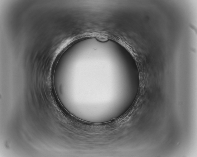 X0000097000008200802221531