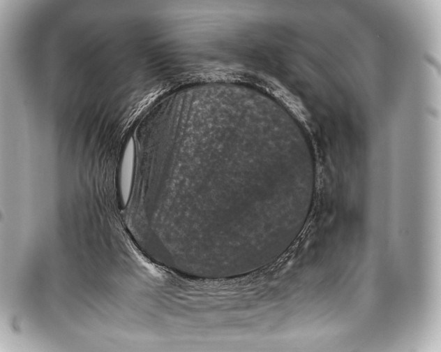 X0000097000009200802221531